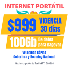 Internet portátil - SIM 100 GB (No incluye módem)